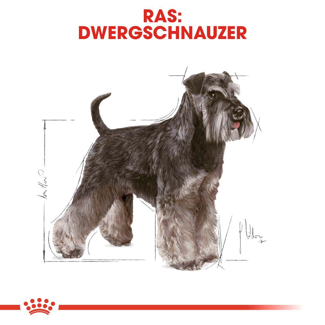 Royal Canin BHN Mini Schnauzer Adult - Hondenvoer - 3 Kilogram - gevogelte