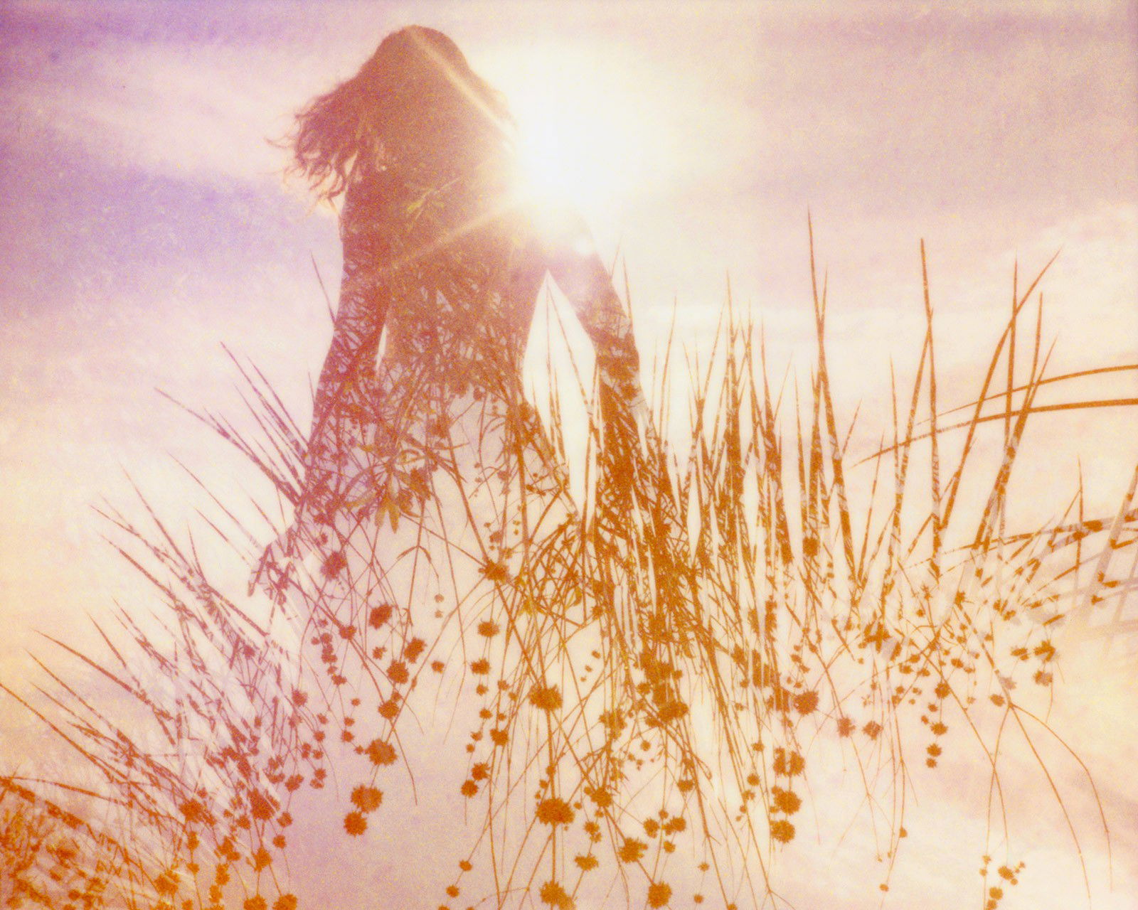 Illuminated II by Clay Lipsky - Limited Edition. Edition of: 100. Signed.