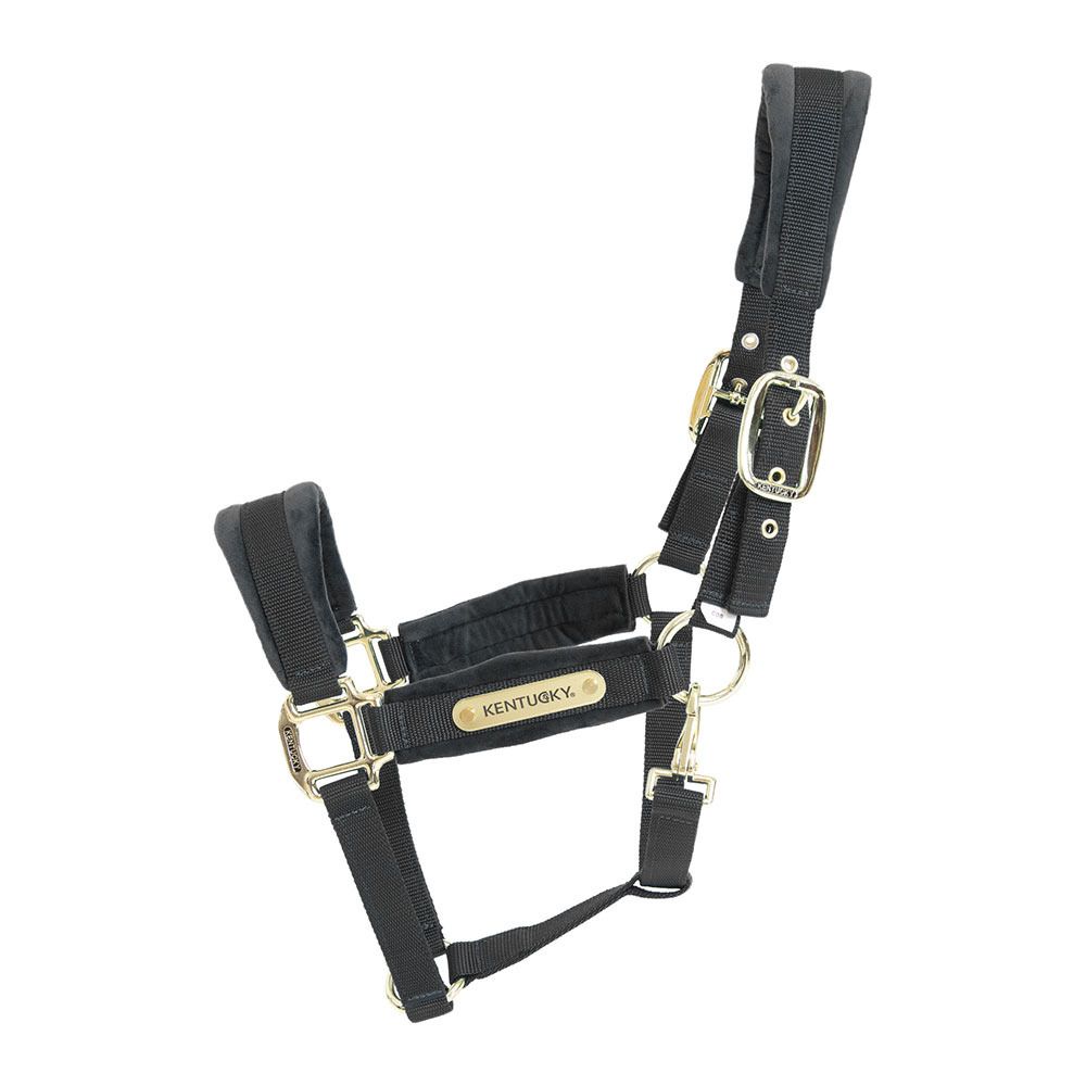 Kentucky VELVET - Licol black