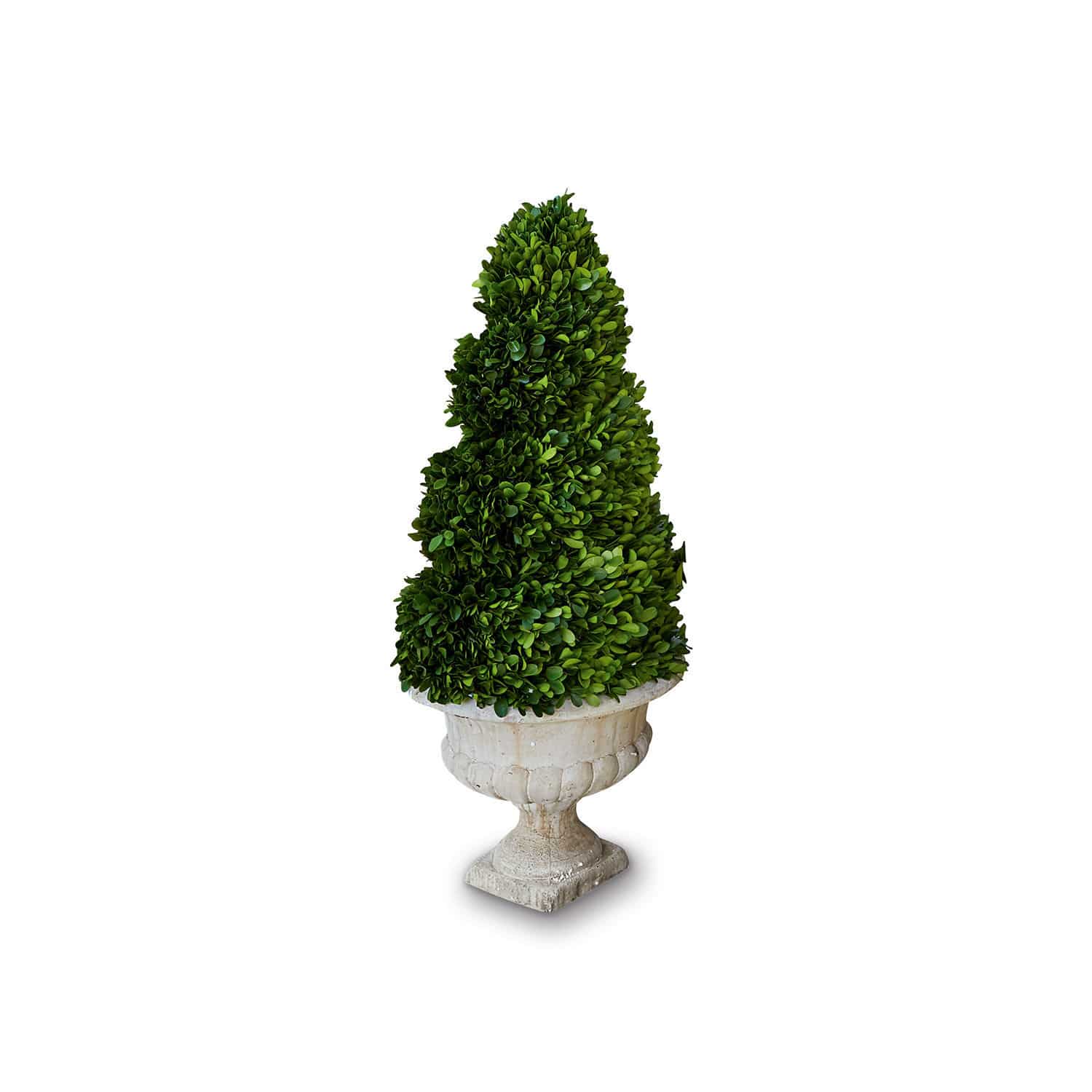 Deko-Baum Humbria