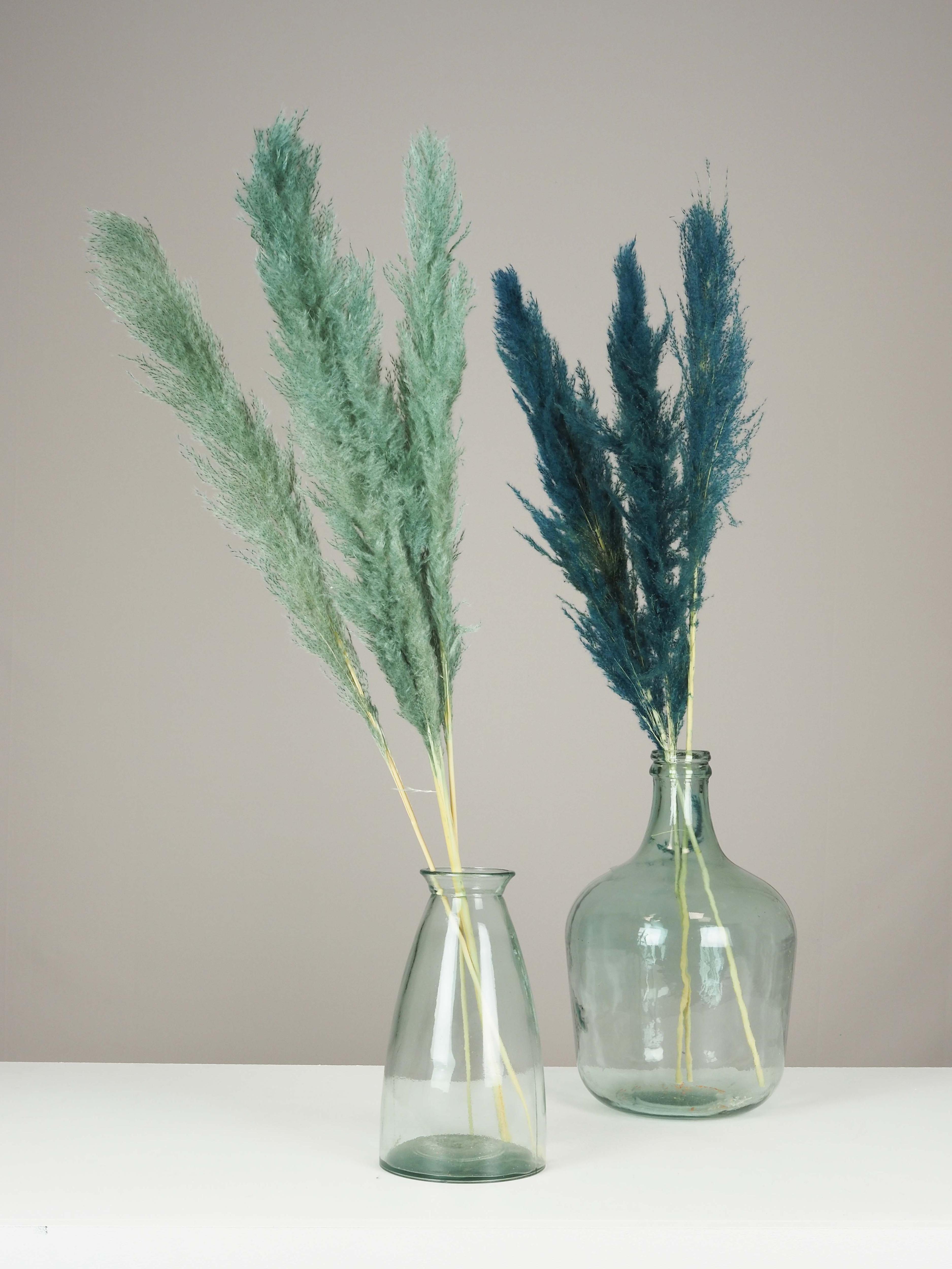 PLUMEAU PAMPA NATUREL H.110CM BLEU ET VERT X3 PIECES