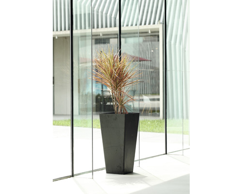 Plantenvaas Lafiora Liam LxB 40 x 40 cm H 80 cm antraciet