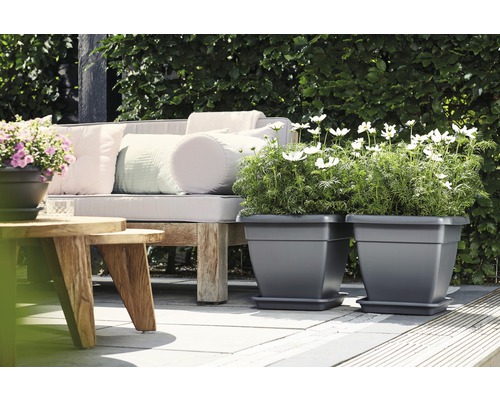 Onderzetter Elho L/B 20 cm antraciet