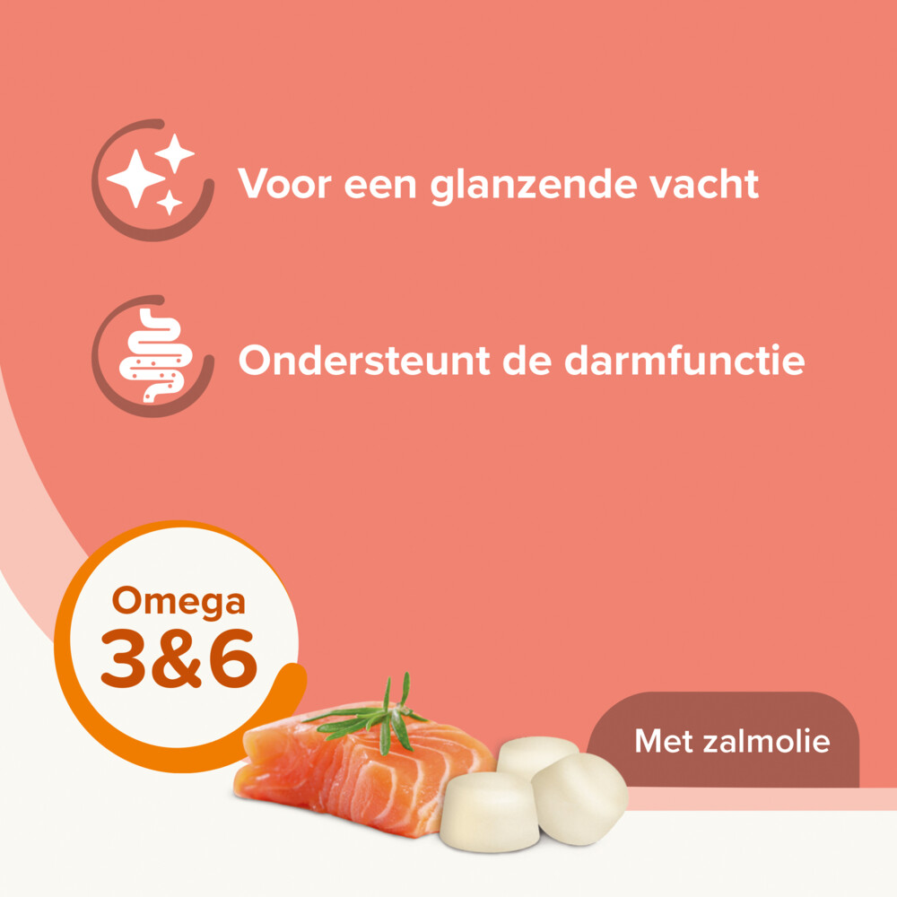 Beaphar Schapenvet Bonbons Zalm245 gr