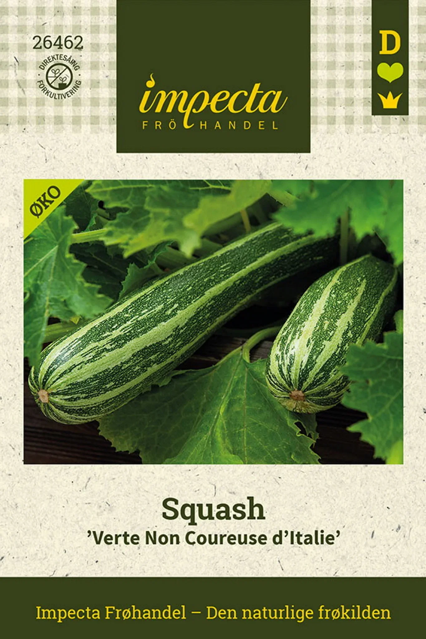 Cucurbita pepo 'Verte Non Coureuse d'Italie' Squash 'Verte Non Coureuse d'Italie'