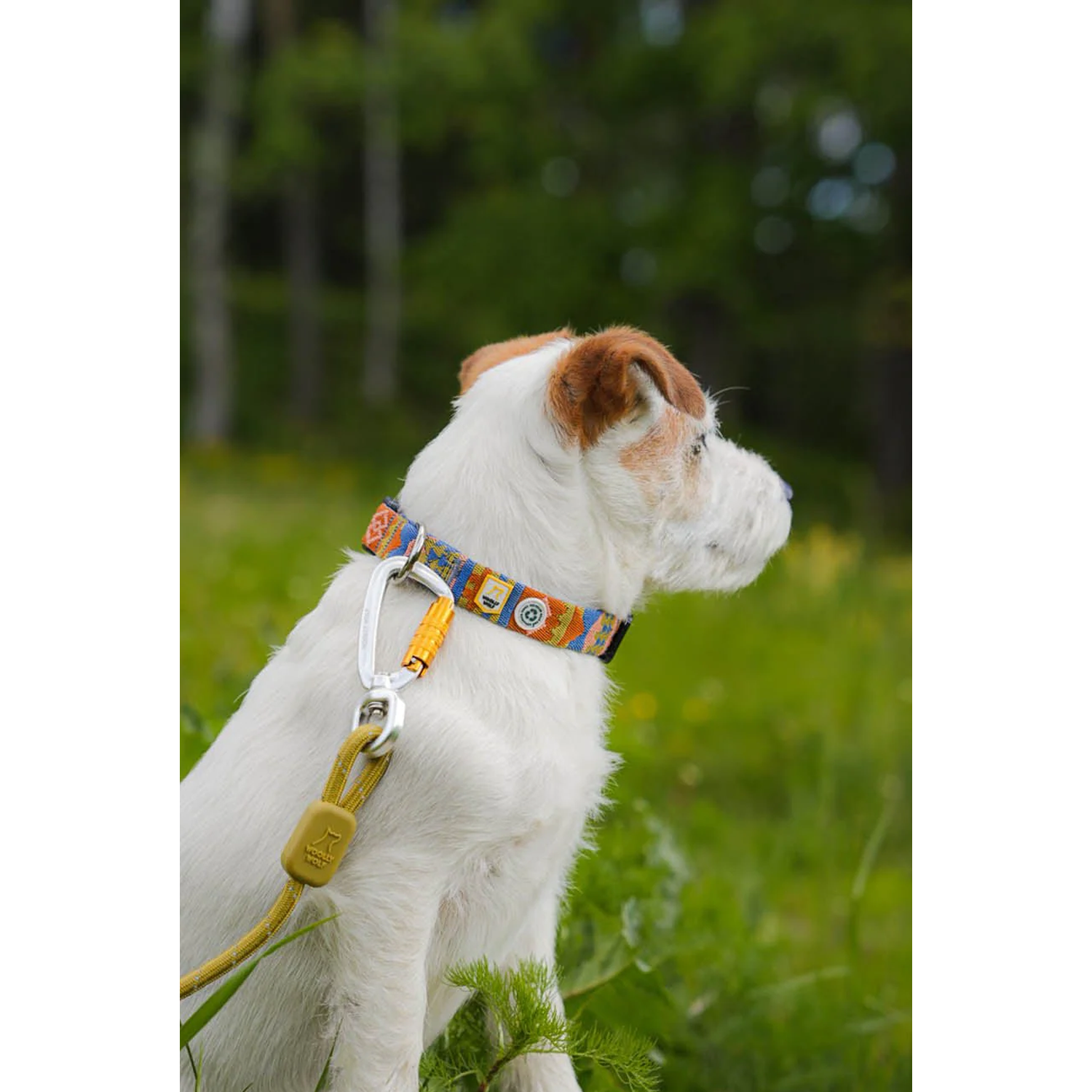 Woolly Wolf Nightless Night Collar