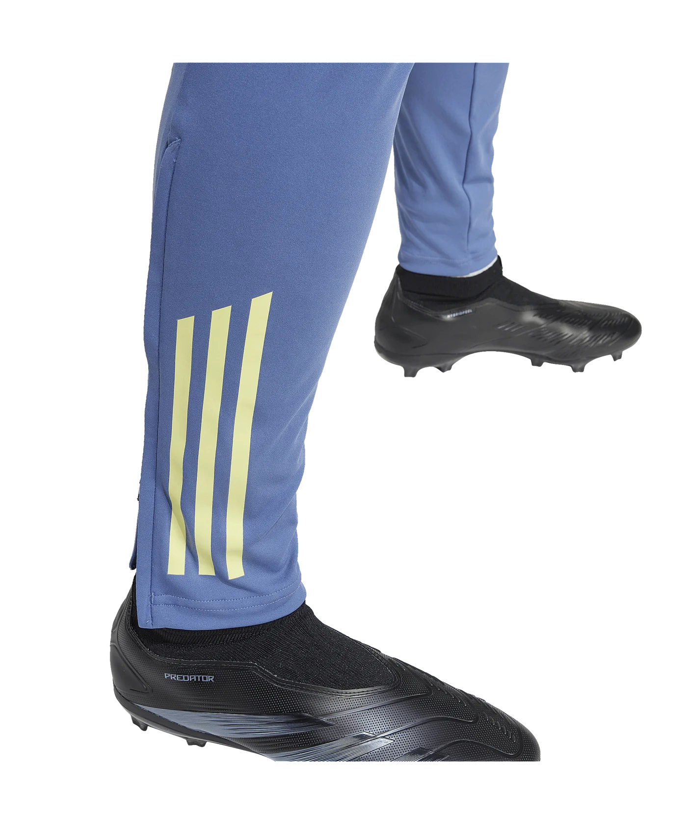 adidas Ajax Amsterdam Trainingshose Blau