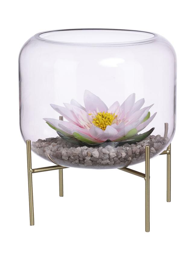 Glasschale m. Seerose und Kies