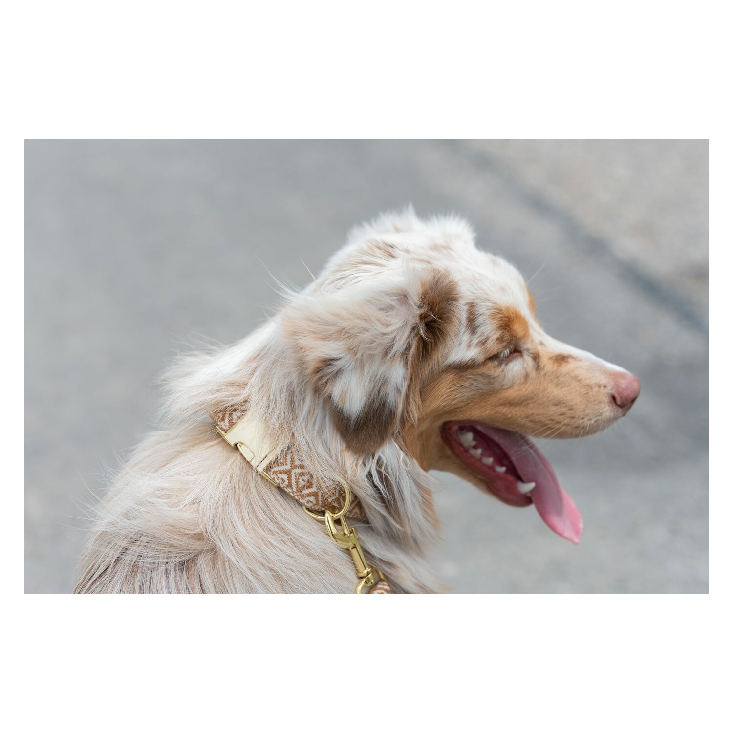 pawberry Hundehalsband Sendai  - caramel/white