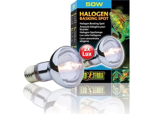 Hagen EXOTERRA HALOGEN SPOT Pære 50W