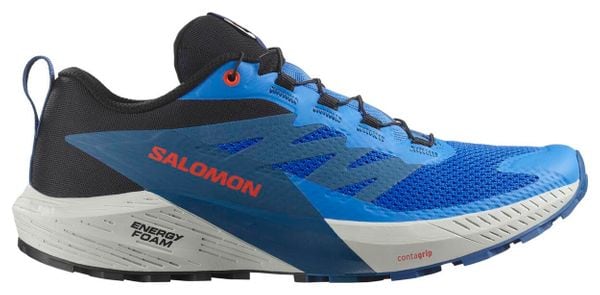 Chaussures Trail Salomon Sense Ride 5 Bleu Homme