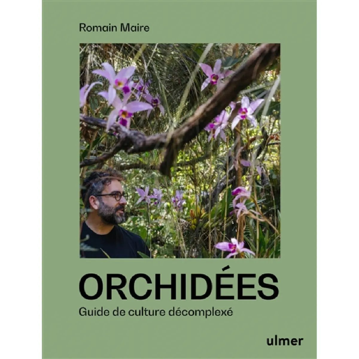 Orchidées : guide de culture décomplexée