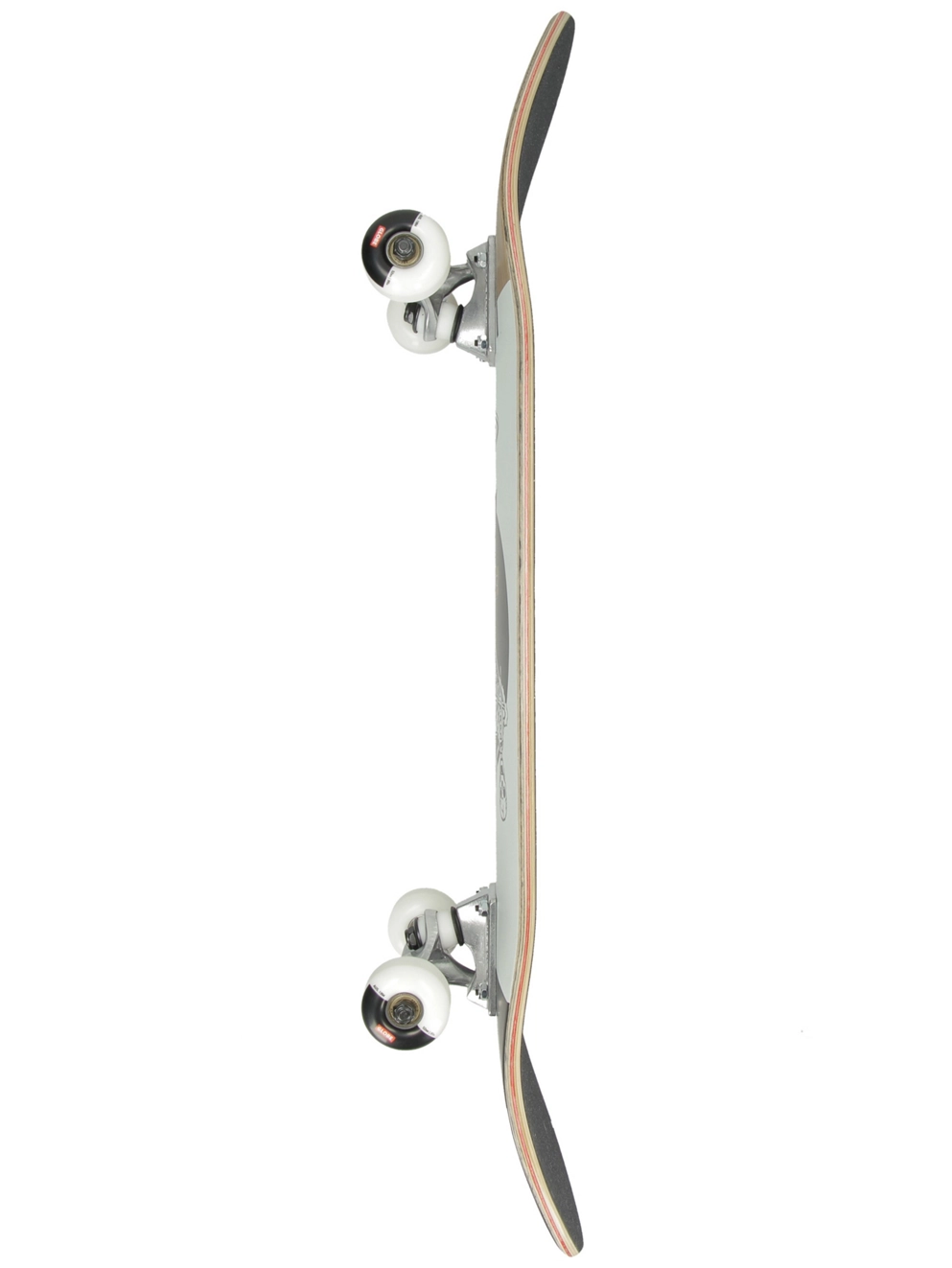 Globe G1 Excess 8.0