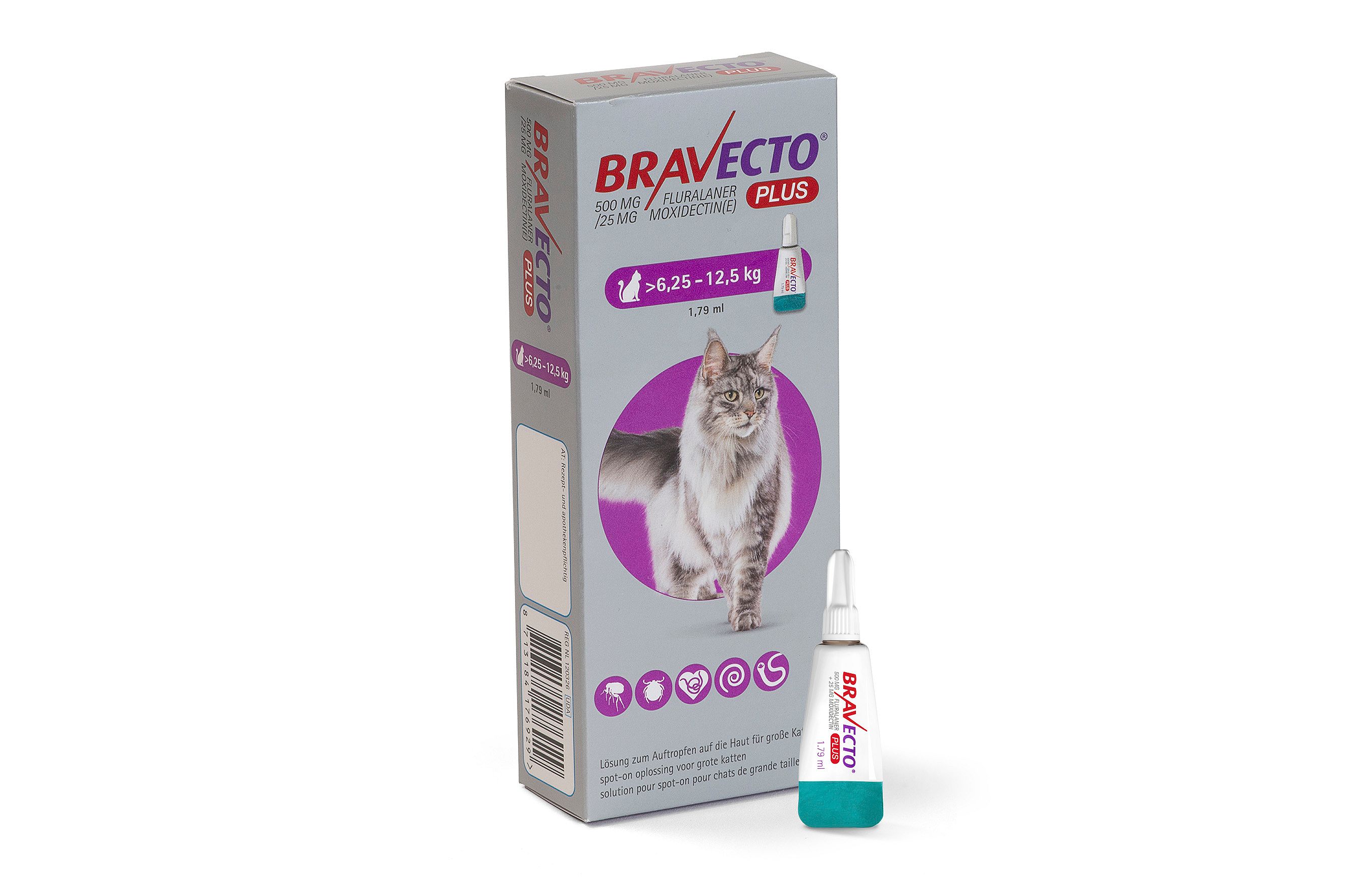 Bravecto Plus Spot-on Pipet Kat | 11918