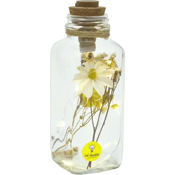 LED-GLAS MIT TROCKENBLUMEN