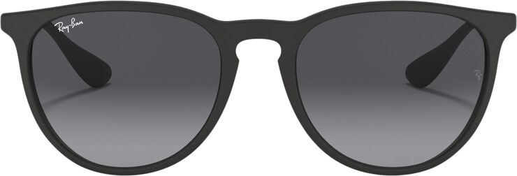 Ray-Ban ERIKA CLASSIC Rubber black