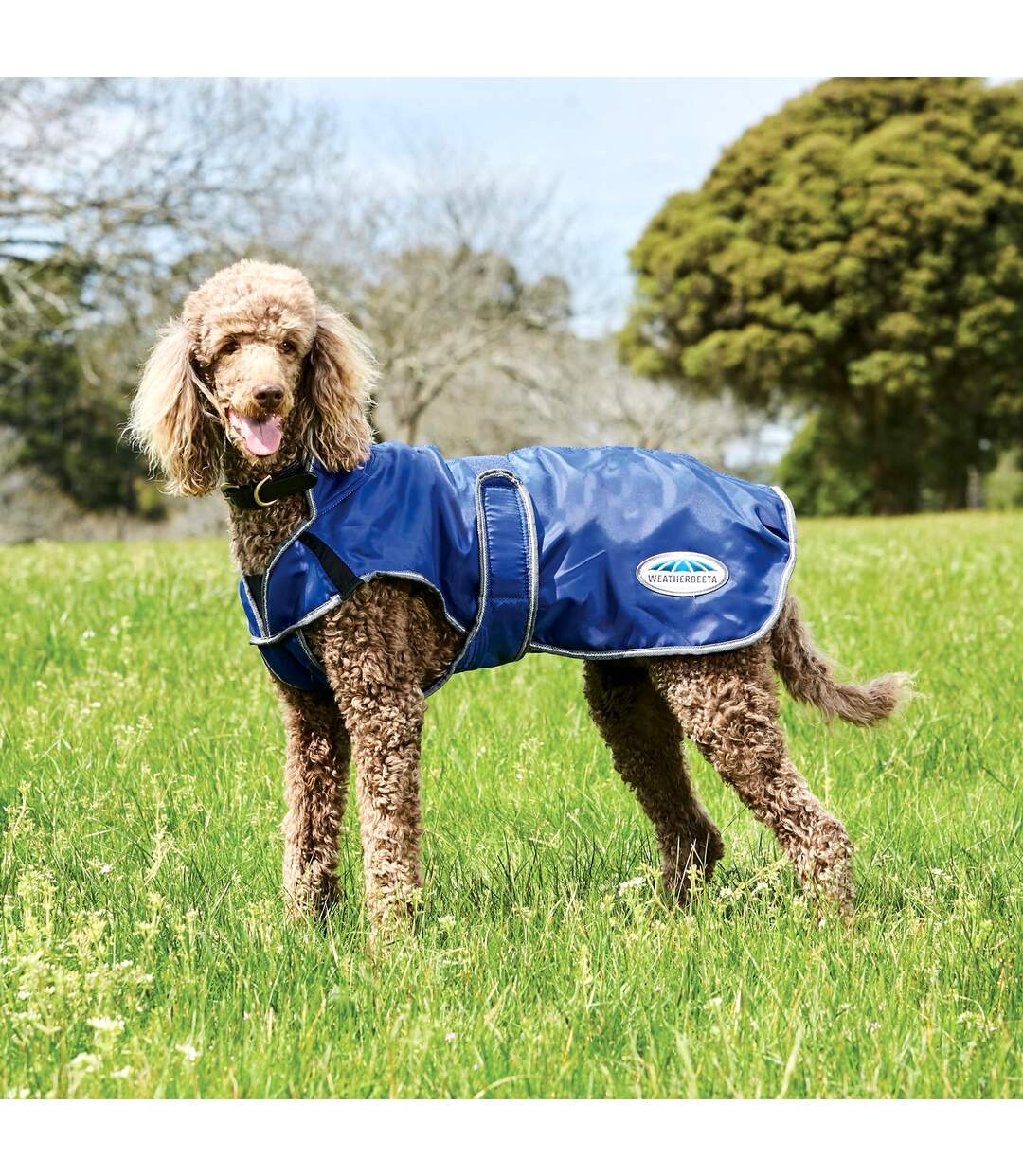 Weatherbeeta - Manteau pour chiens COMFITEC WINDBREAKER FREE DELUXE (Bleu foncé / Gris / Blanc) (25 cm) - UTWB1651