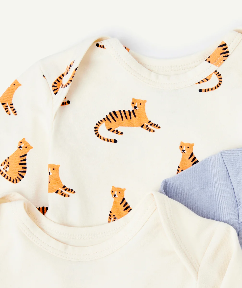 LOT DE 3 BODIES BÉBÉ GARÇON EN COTON BIO ÉCRU ET BLEU MOTIFS TIGRES