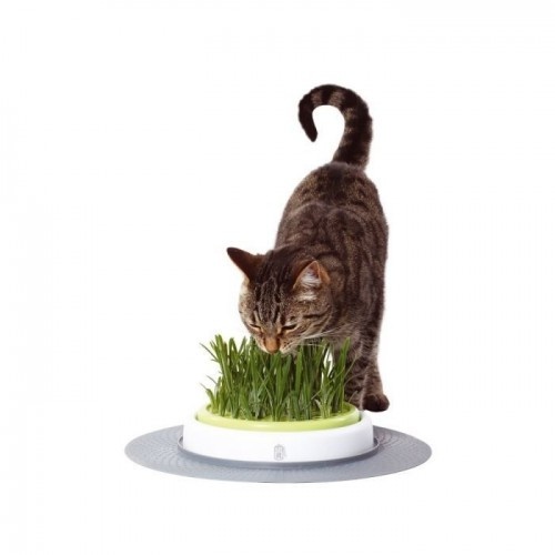 Kit germinador de grama Catit Senses para gatos