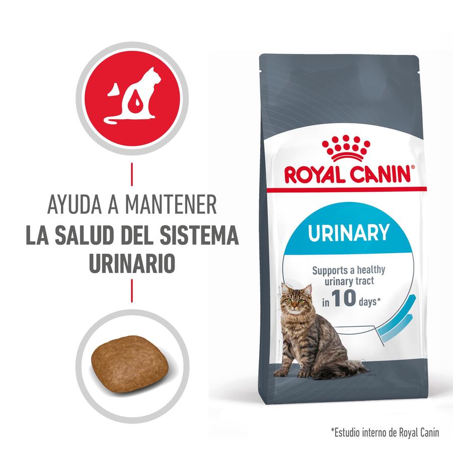 Ração Royal Canin Urinary para gatos
