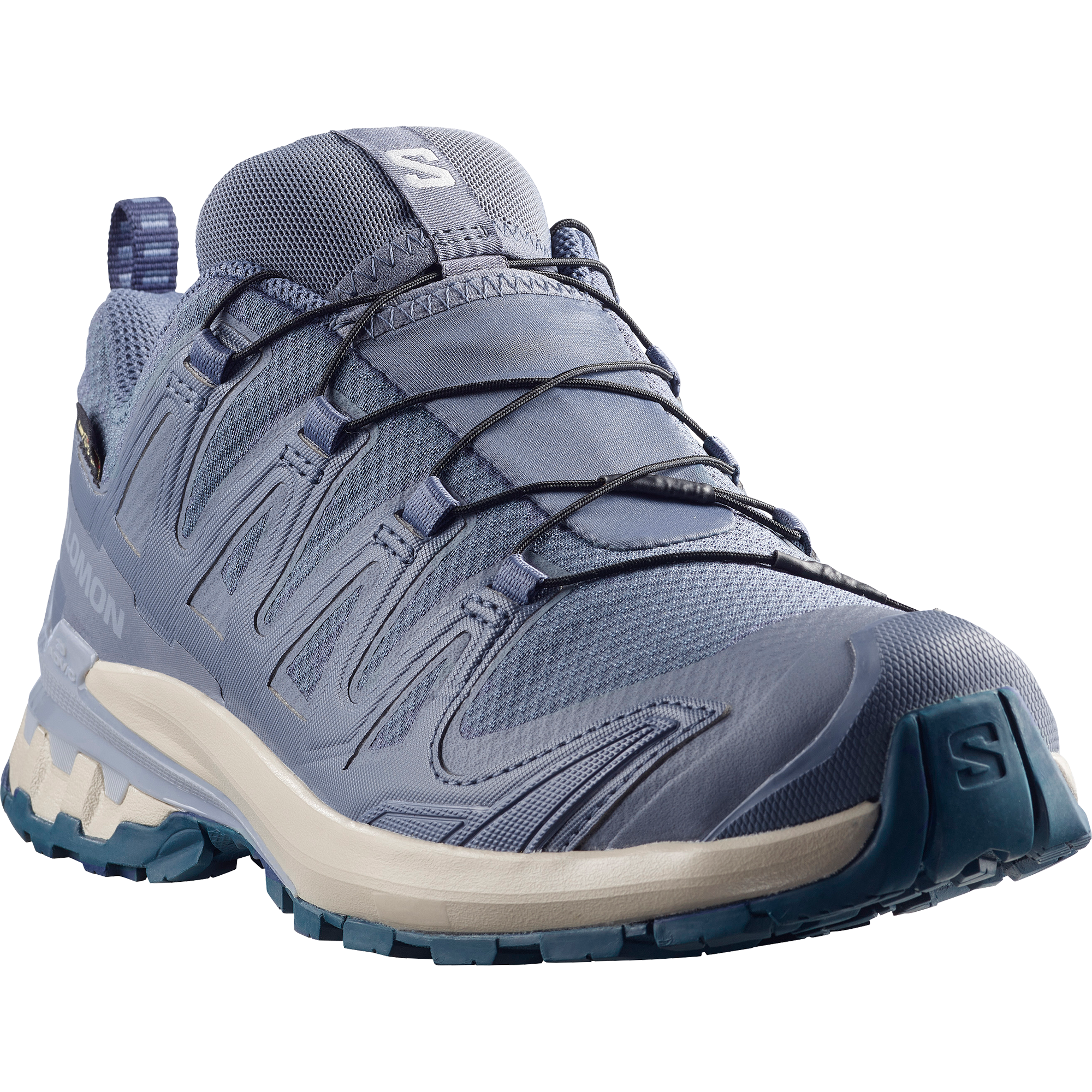 Salomon Trailrunningschuh »XA PRO 3D V9 GORE-TEX«  wasserdicht