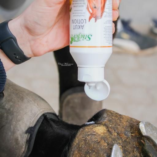 Stiefel Akutlotion