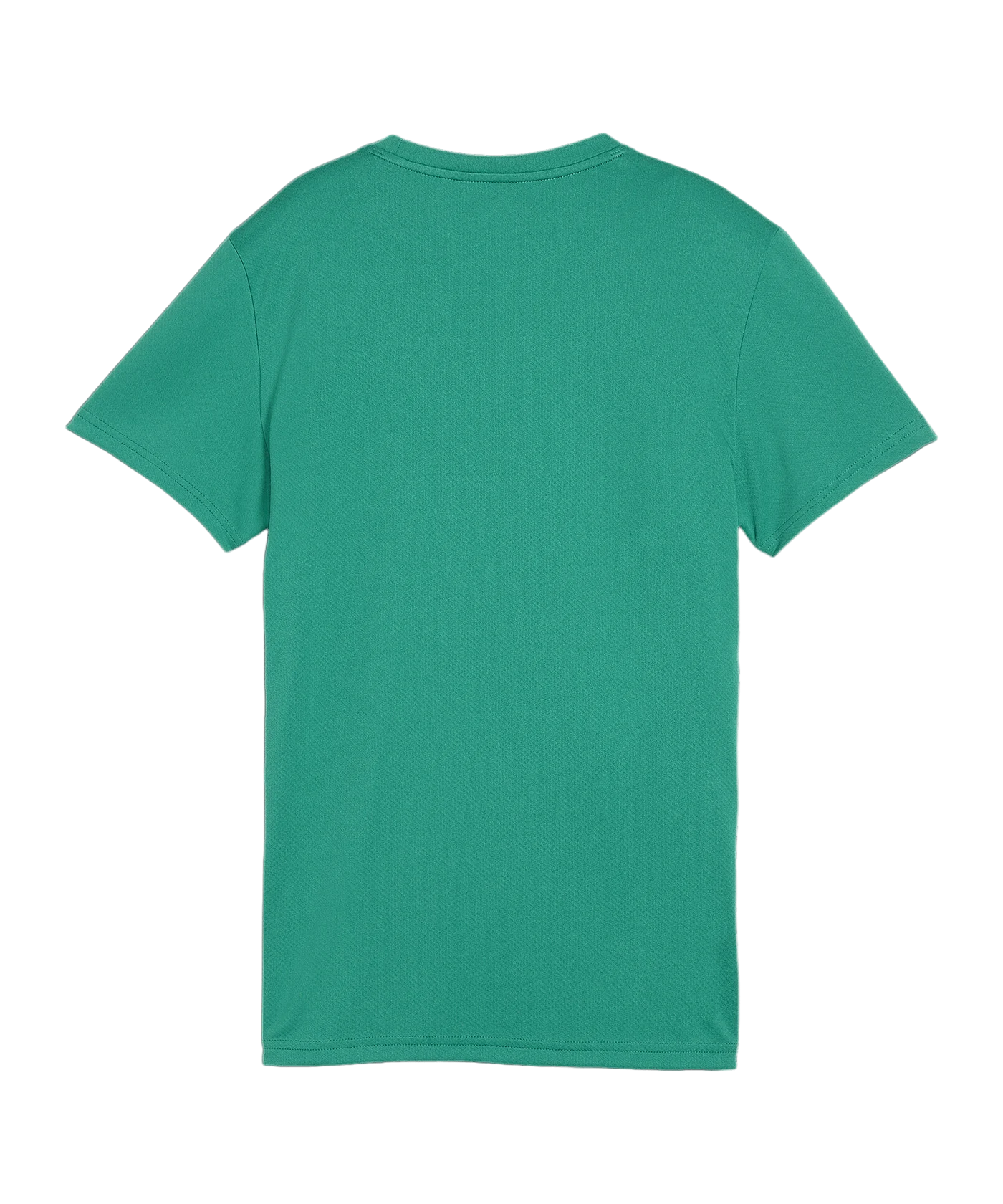PUMA teamGOAL Trikot Damen Grün F05