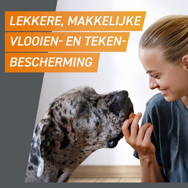 Frontpro - 2x3 Kauwtabletten voor Honden - 4-10kg