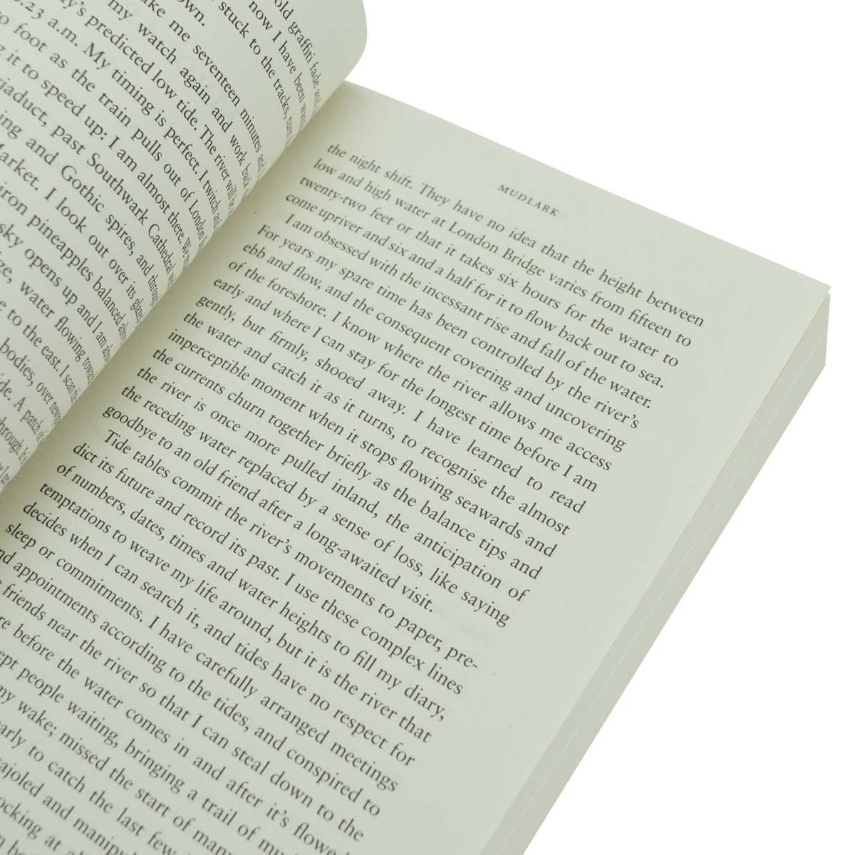 Mudlarking (Paperback)