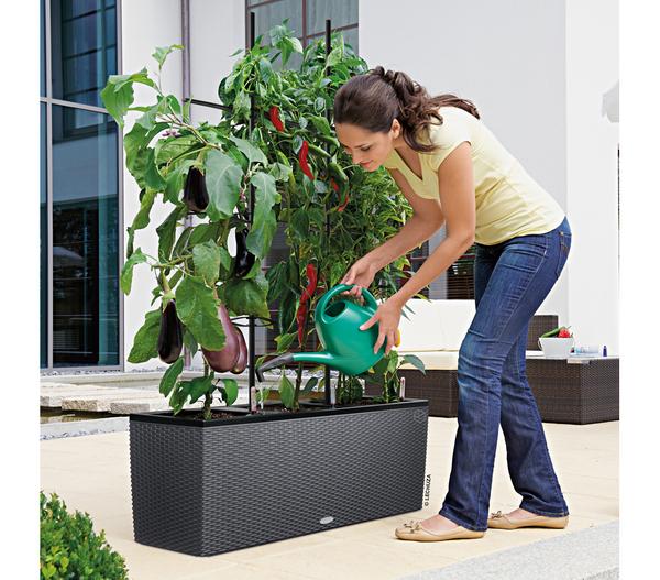 LECHUZA® Trio Cottage Rankgitter, schwarz,