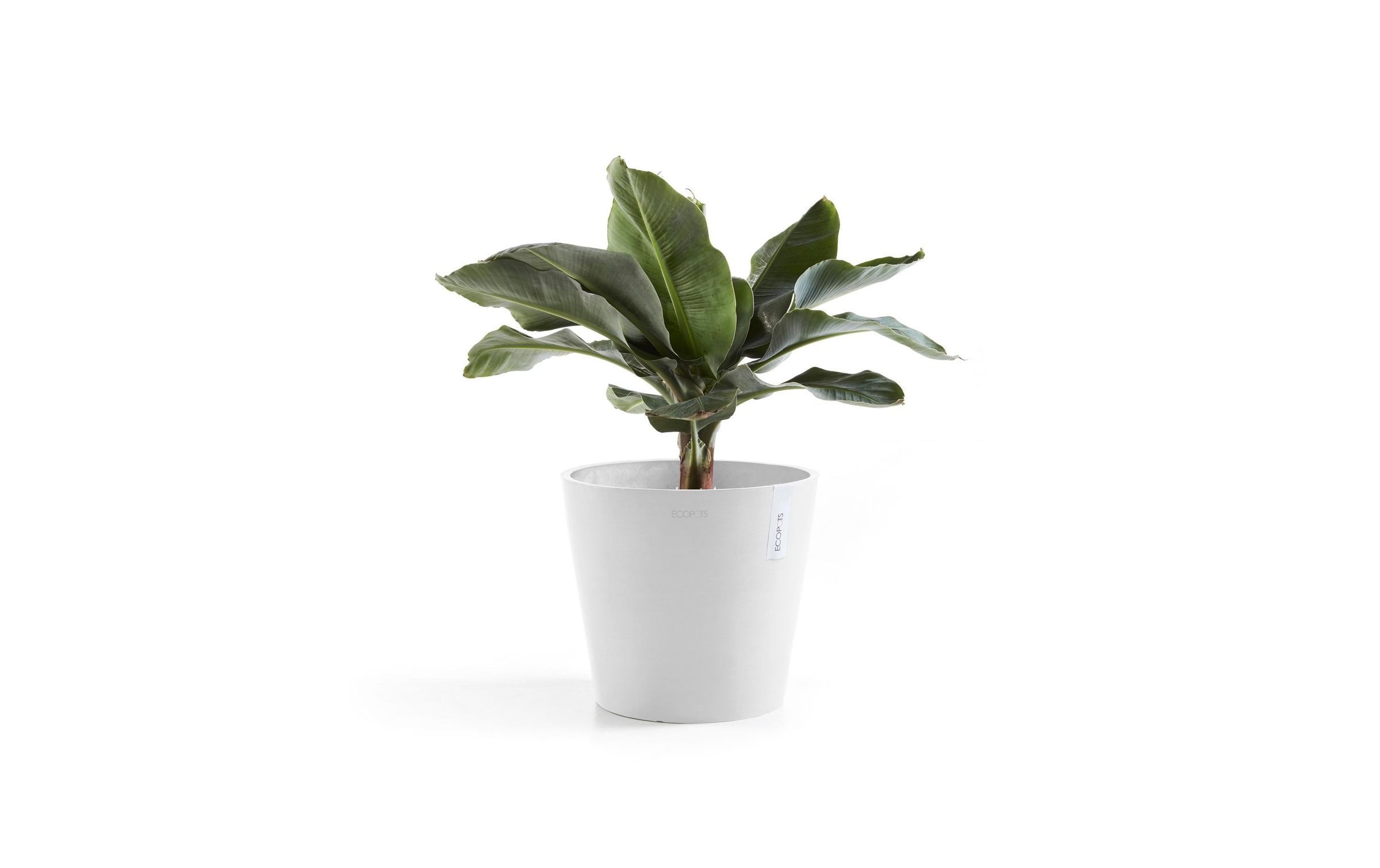 ECOPOTS Pflanzkübel »Amsterdam 40«