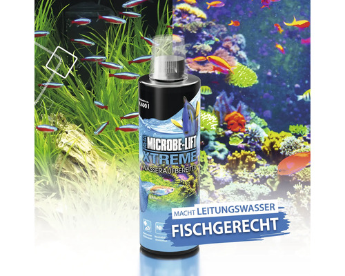 MICROBE-LIFT Xtreme waterconditioner voorkomt een toename van ammonium/ammoniak en nitriet, verwijdert zware metalen en chloor en beschermt de slijmvliezen. 5 l voor zoet en zout water.