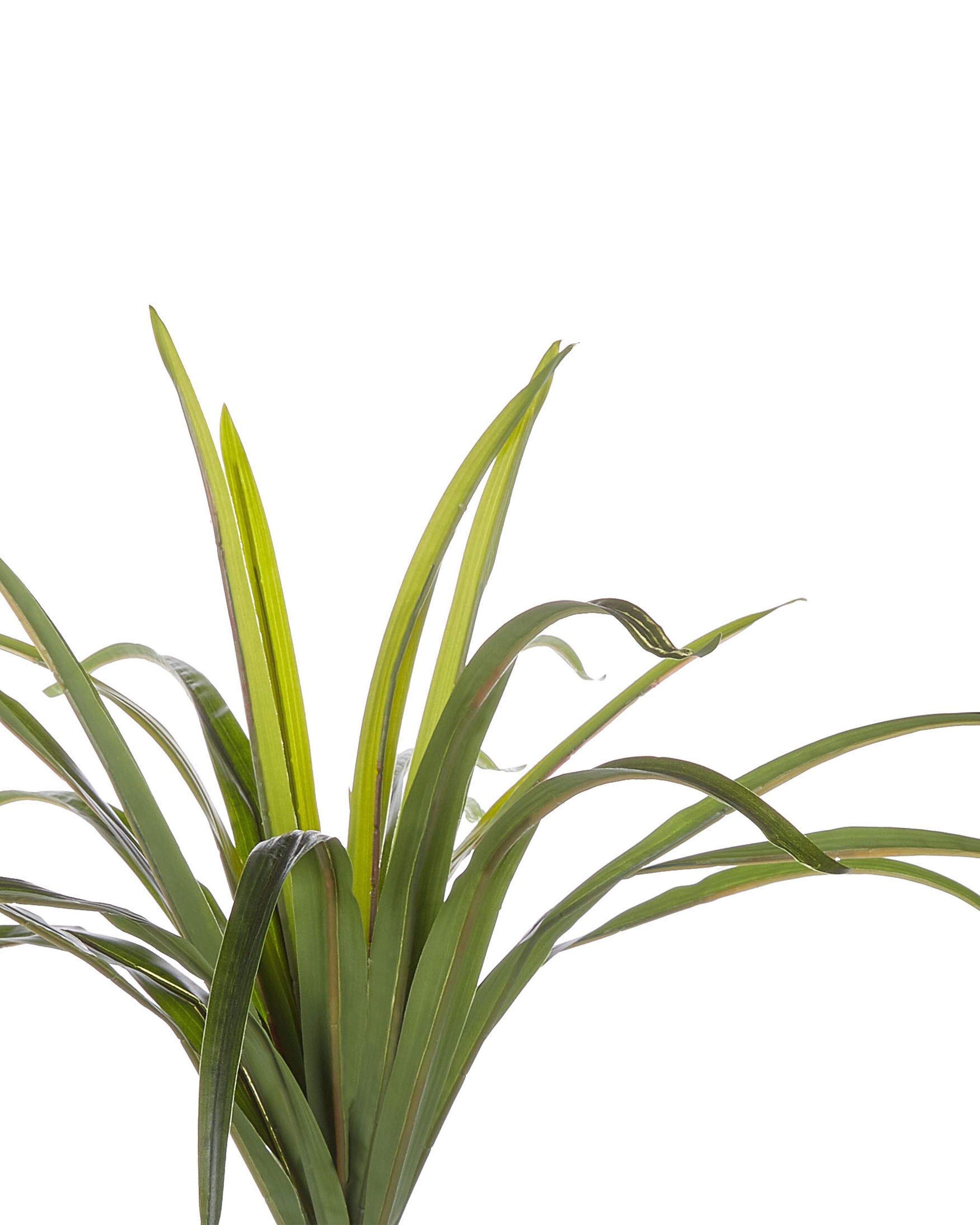 Kunstplant DRACAENA ANITA 147 cm Groen