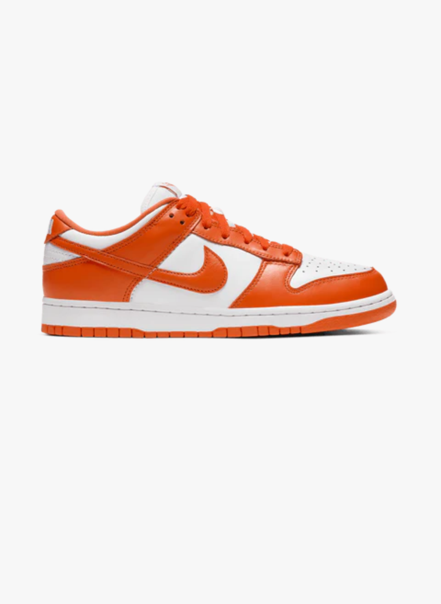 Dunk low sp orange blaze (syracuse) | Orange