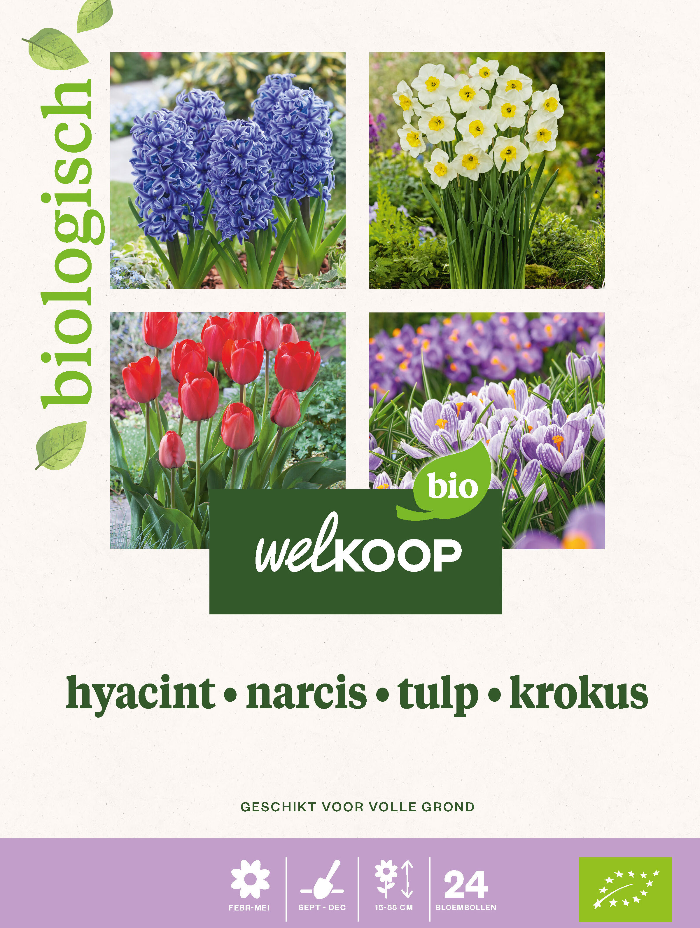 Welkoop Hyacint Narcis Tulp Krokus Biologisch - Bloembollen