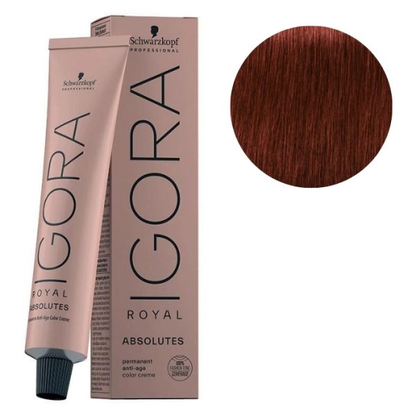 Igora Royal Absolutes 6-80 Blond Foncé Rouge Naturel 60 ML