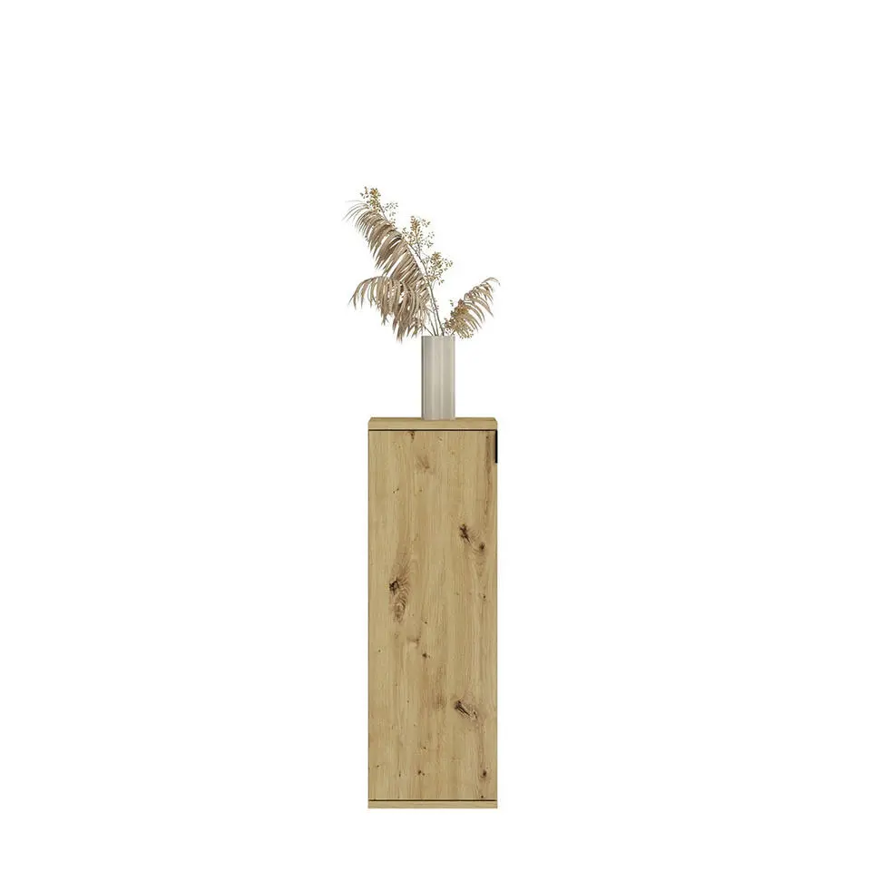 Hioshop ProjektX kommode 2 1 deuren 3 deuren eiken decor