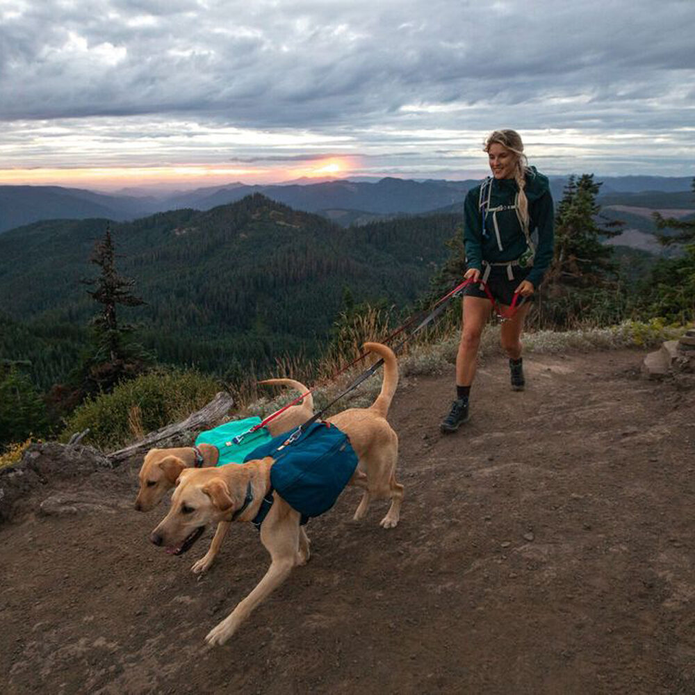 Ruffwear Front Range Day Pack
