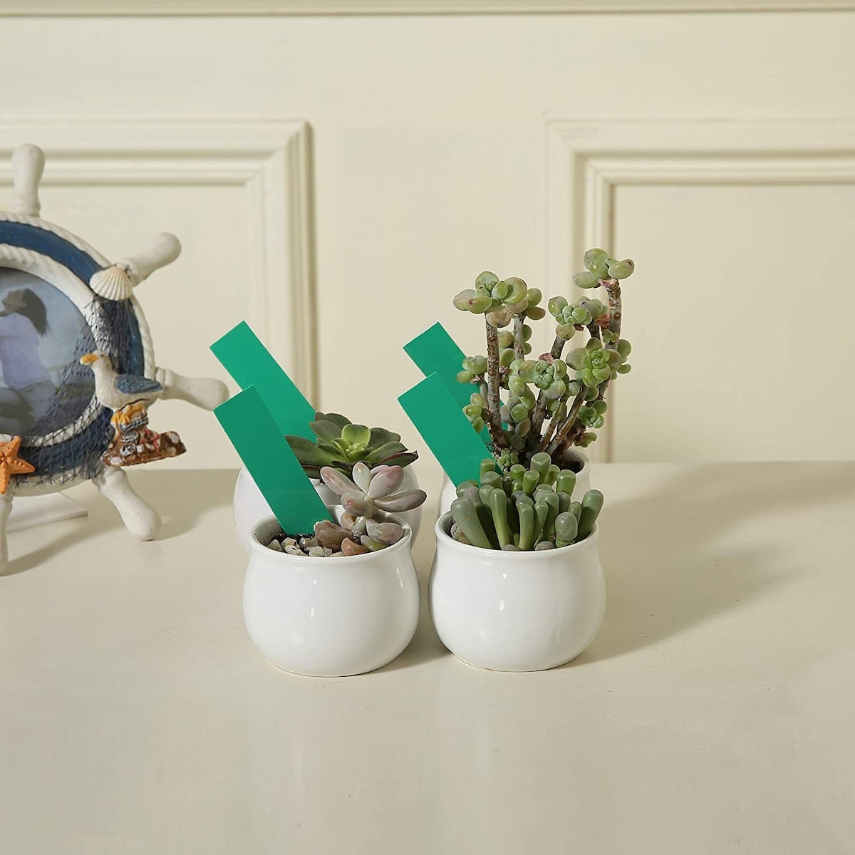Vannbestandige planteetiketter / planteskilt med hull PVC 100-pak