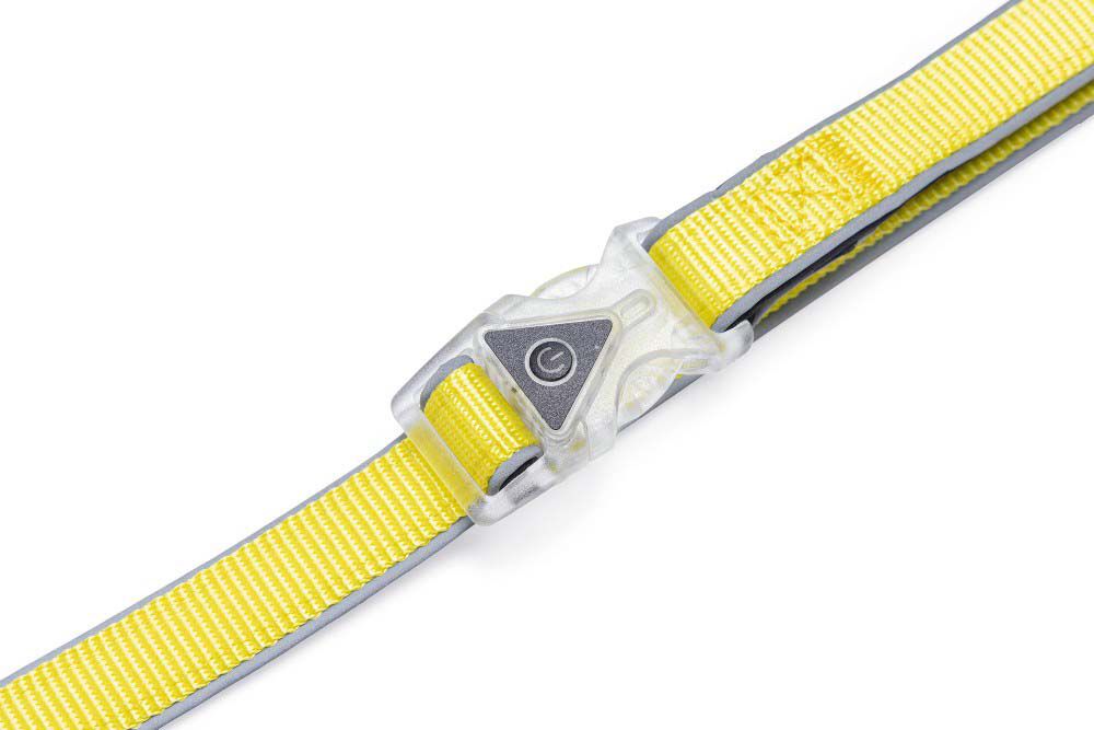 Beeztees Parinca Premium LED - Veiligheidsriem Hond - geel - 2 cm - 150 cm