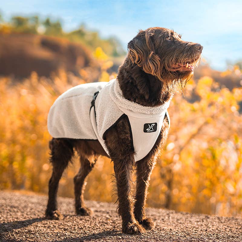 Bigfoot Dog Jacket Hund Peyote