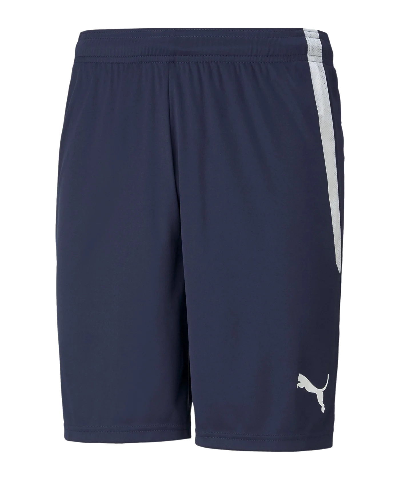 PUMA teamLIGA Short Blau Weiss F06