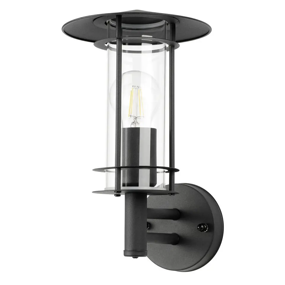 EGLO Lisio 1 Wandlamp - E27 - 30 cm - RVS - Glas - Zwart