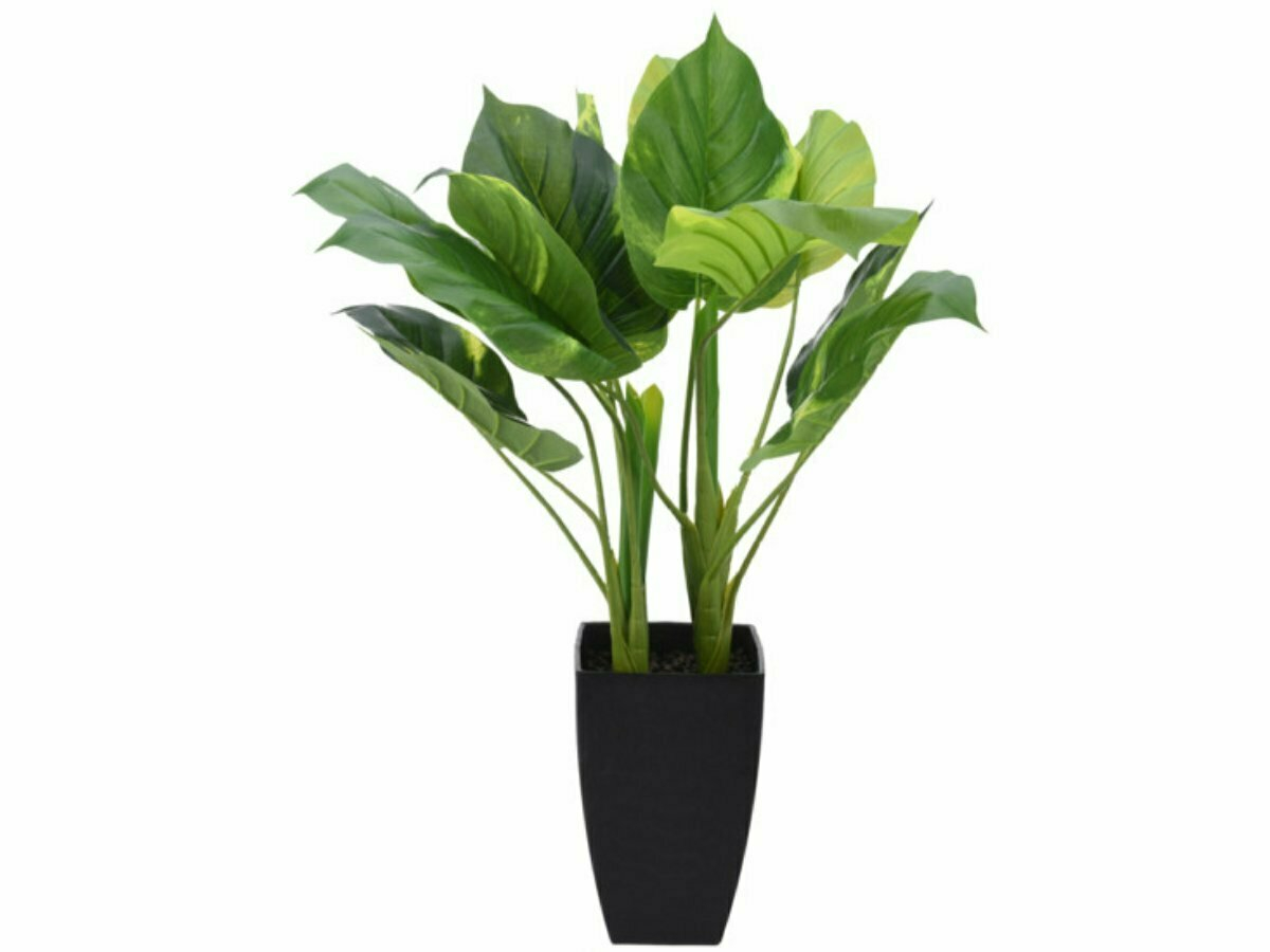 Philodendron in pot 65 cm kunstplant - 3 varianten
