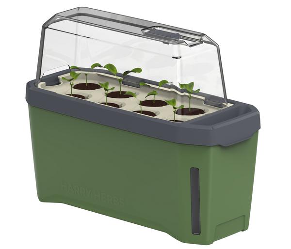 Gusta Garden Kräutertopf Harry Herbs mit
