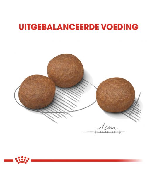 Royal Canin Digestive Care Medium - Hondenvoer