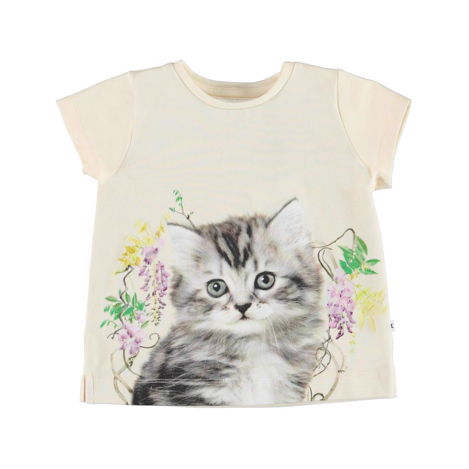 Elly - Kitten