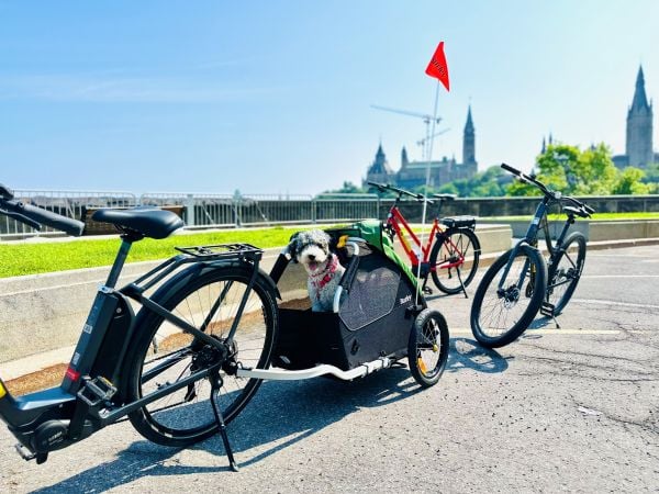 Burley Tail Wagon Dog Trailer, Max 34 kg