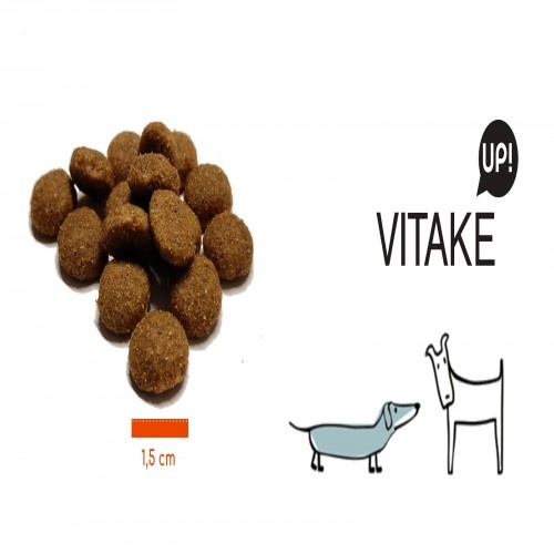 Vitake Up! Ração para cães sabor salmão