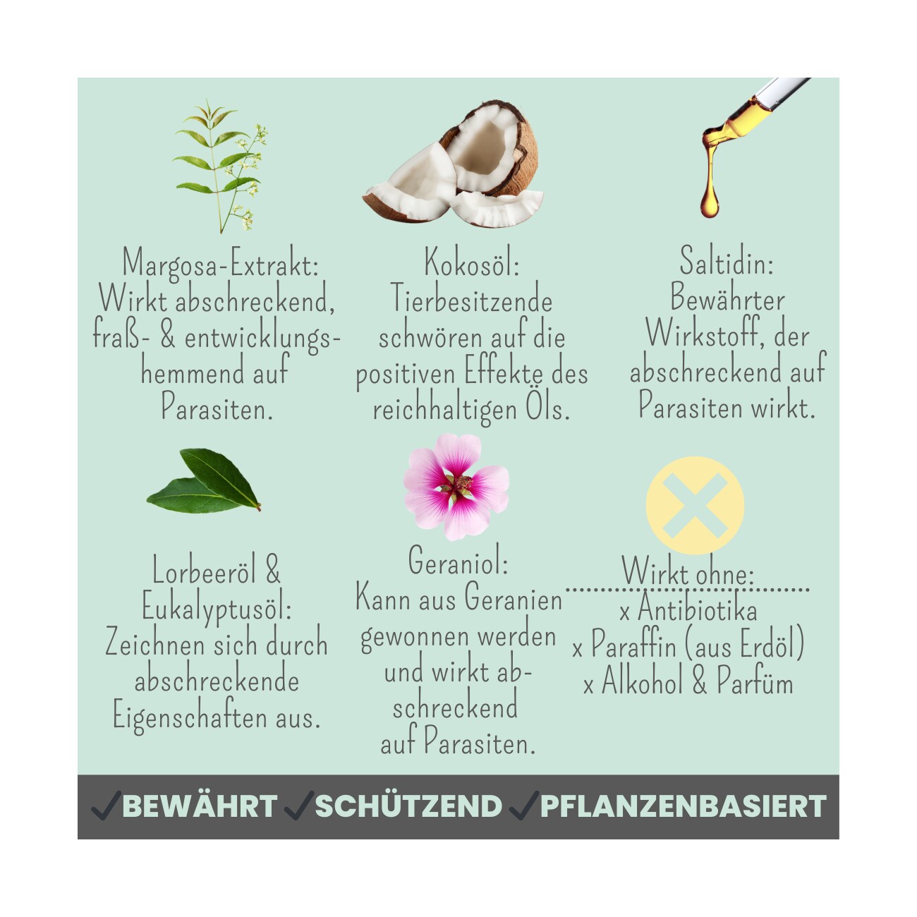 noms+ Zpray für Hunde gegen Zecken, Flöhe, Milben & Mücken 100ml